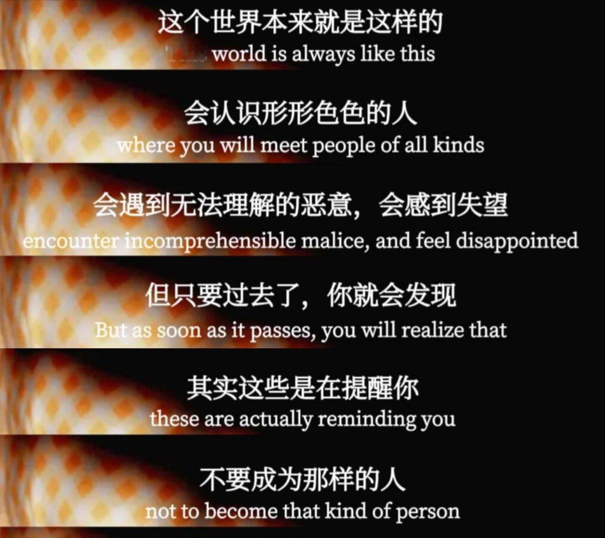 这一路走来，我遇见了太多温暖善良的人收获了无数真挚的爱与鼓励我把她们对我的善意和