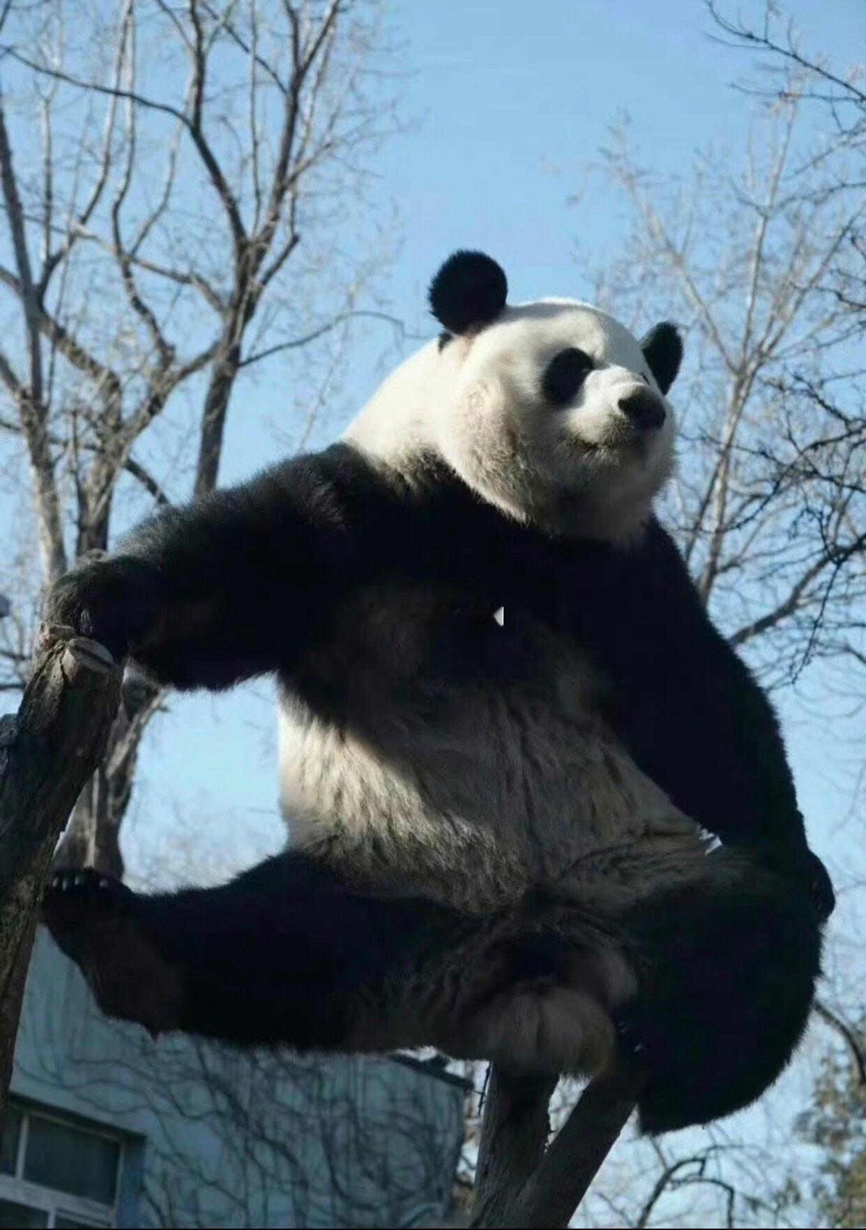 么么儿真的很治愈，希望他每一天都很开心，么么儿这么好看，这么软萌这么治愈他自己知