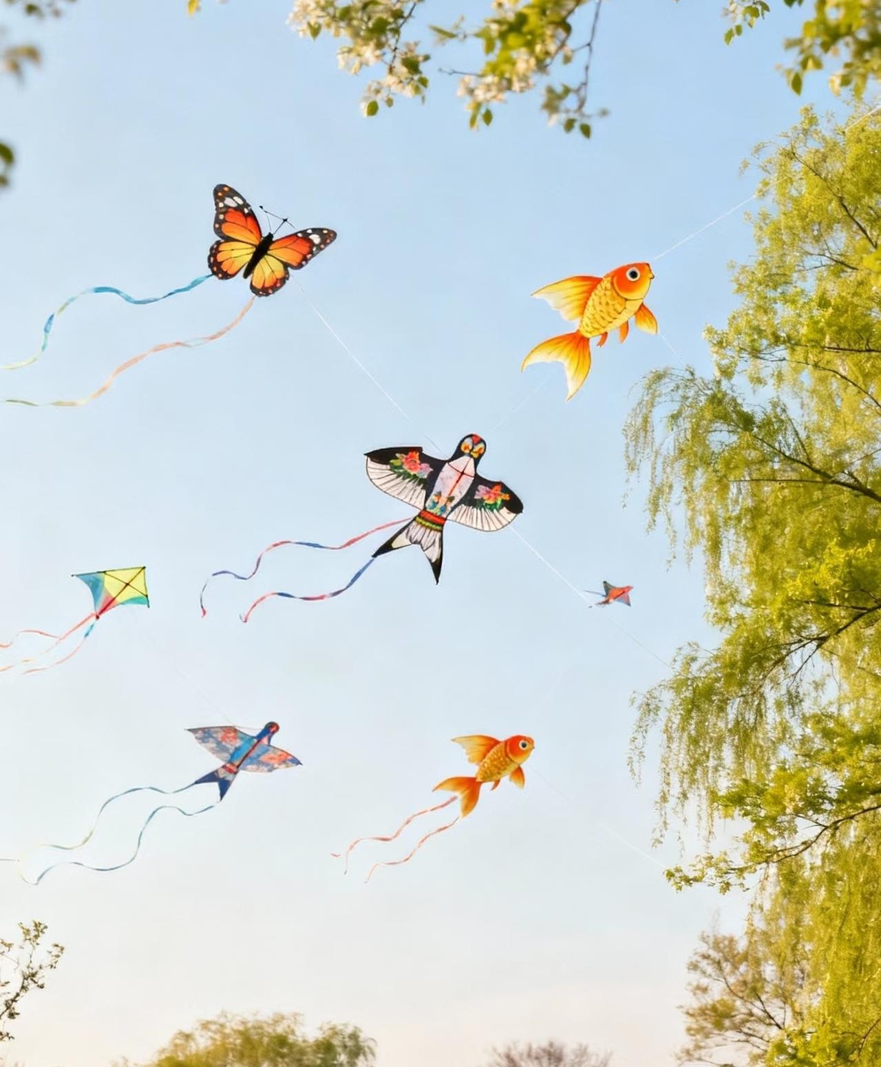 不知道你们发现没？
清明假期开始了，
天气好好，适合放风筝。

古人说"春之风自