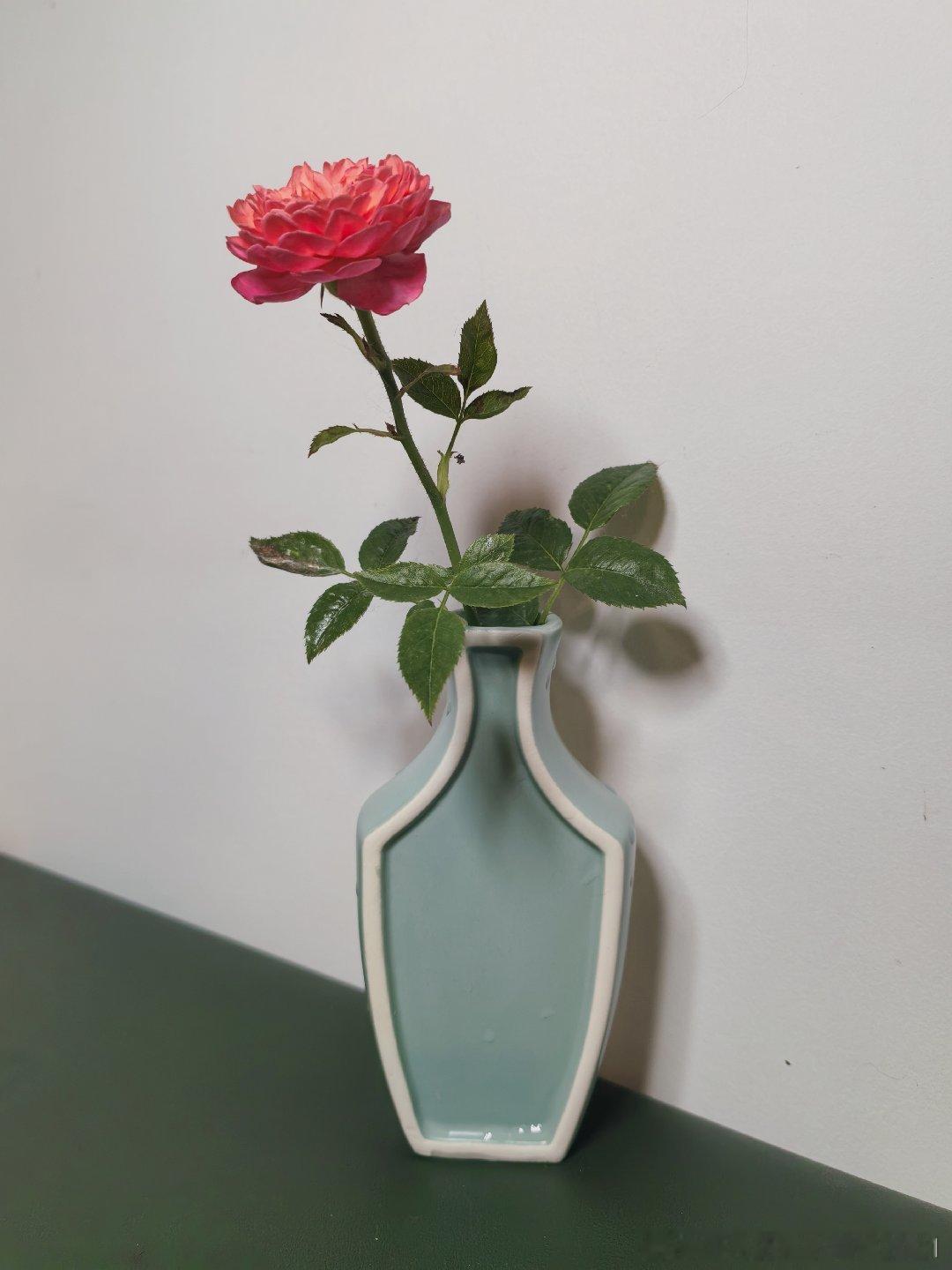 小花瓶赏析，同款，买了两个颜色！ 