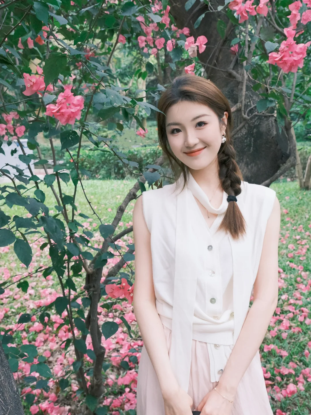 路过一片三角梅🌺