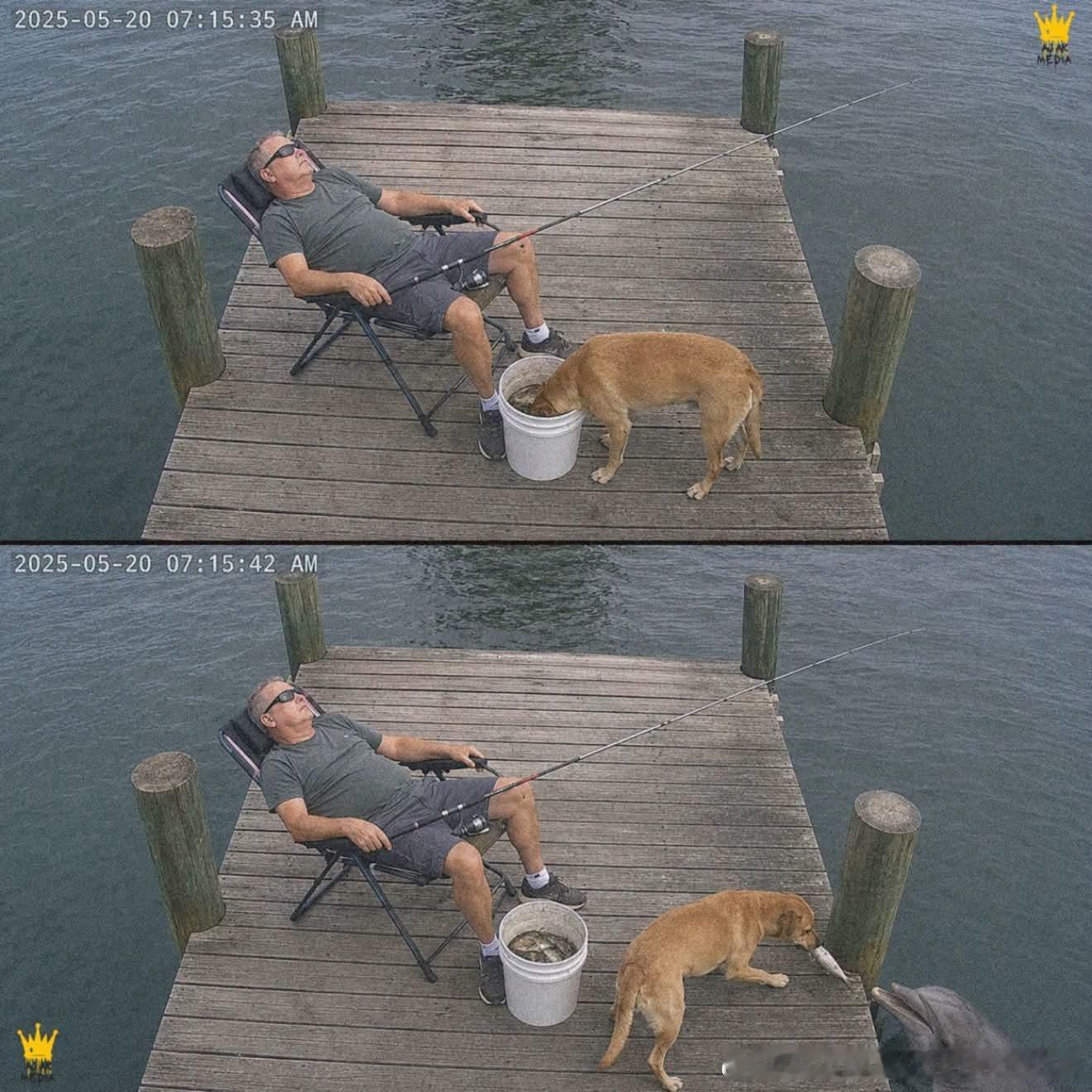 这位男子在码头度过了非常棒的几个小时，不停地把鱼钓上来放进桶里，直到桶几乎装满。