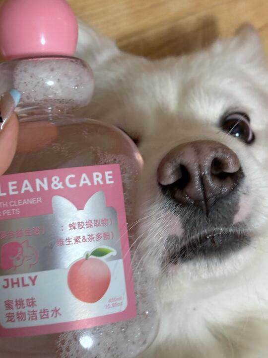 口气清新的小斗一枚呀🦷