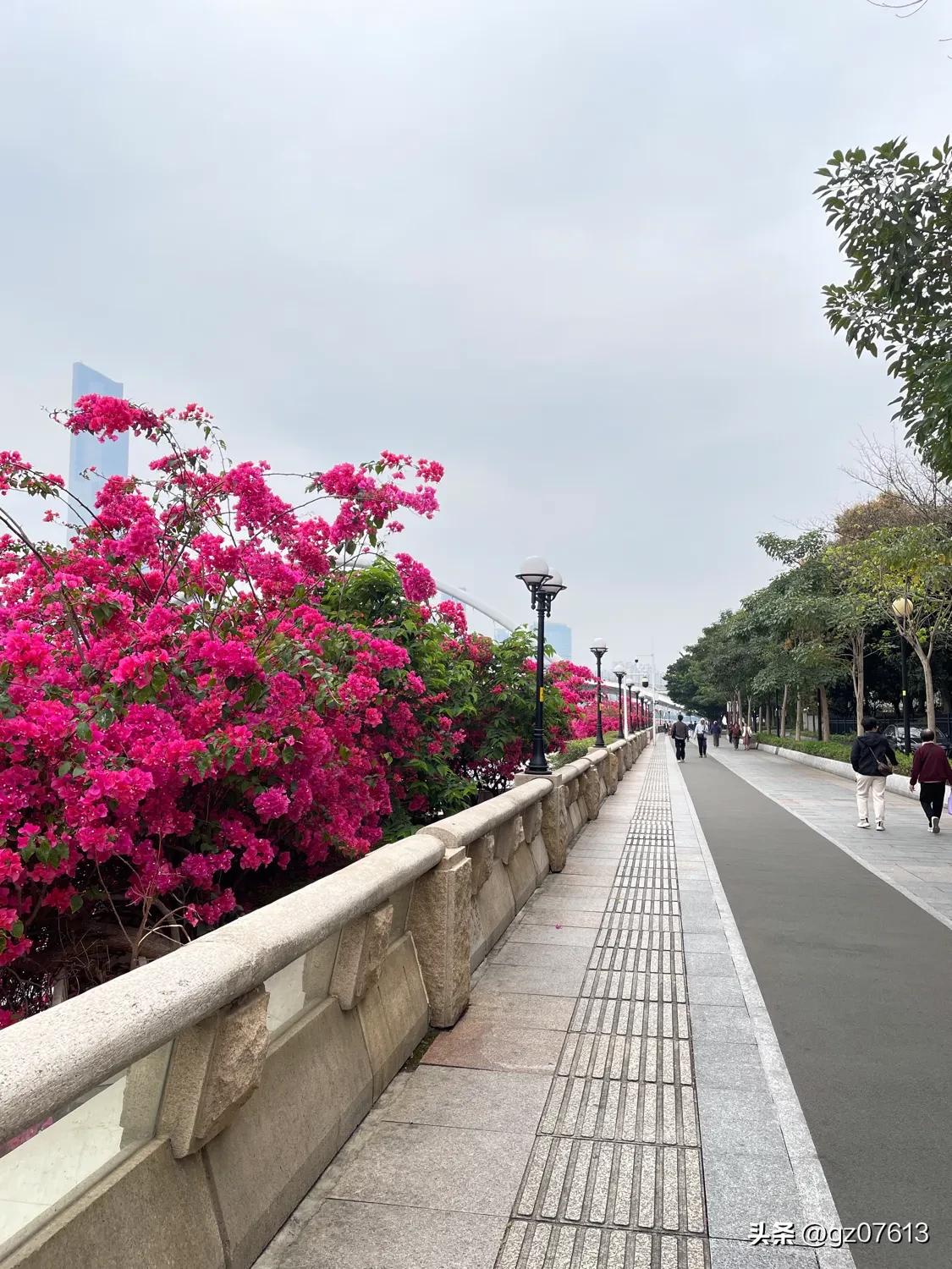 广州海珠新建设[大笑]
     广州市海珠区滨江东路从猎德桥一直往西走，经过广