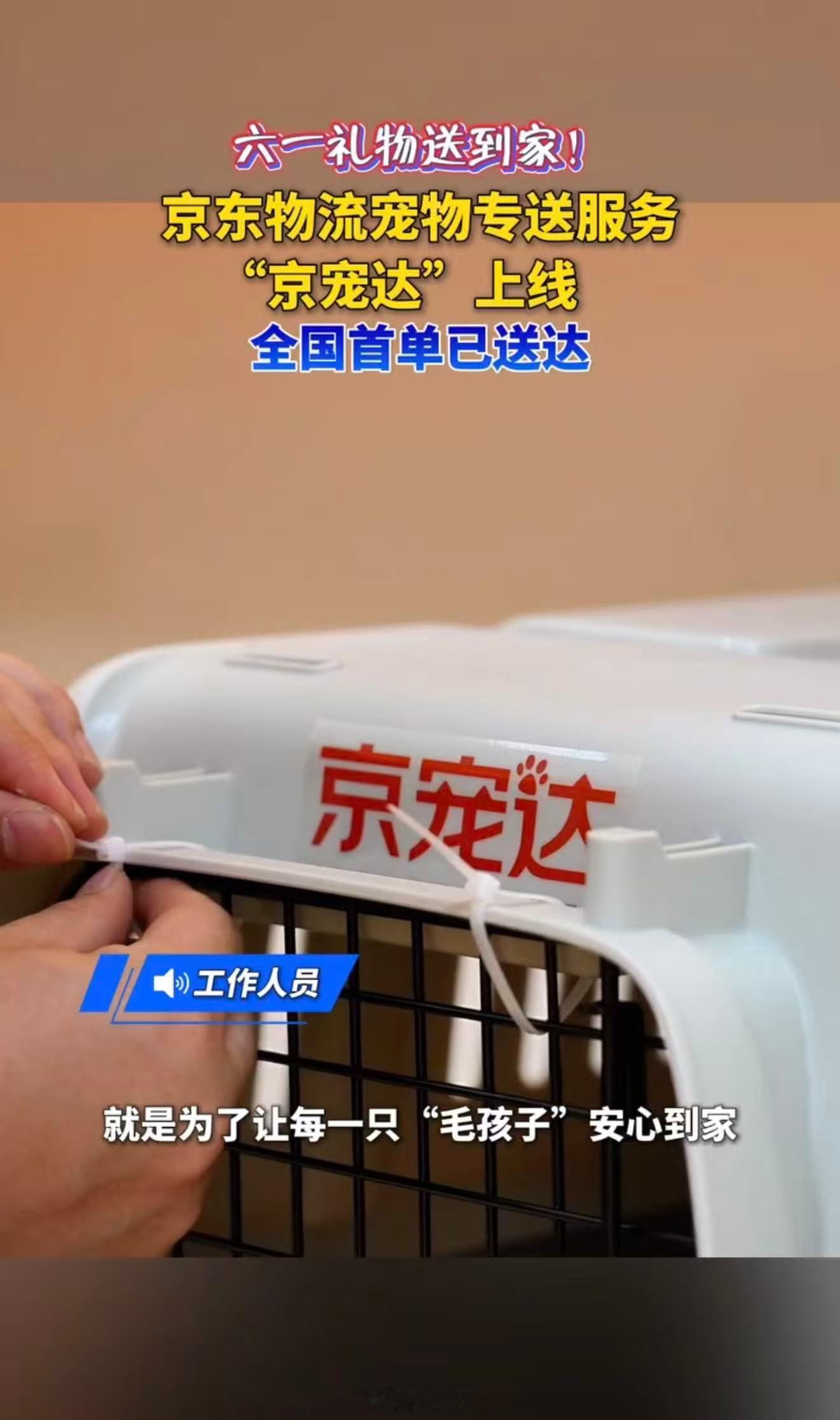 辽宁萌宠专送新标杆京宠达辽宁正式始发，打造辽宁萌宠专送全新标杆。全程专业呵护，严