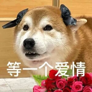 有人说花少18号播先导片？真的假的，不是刚回来吗[哆啦A梦害怕]？ ​​​