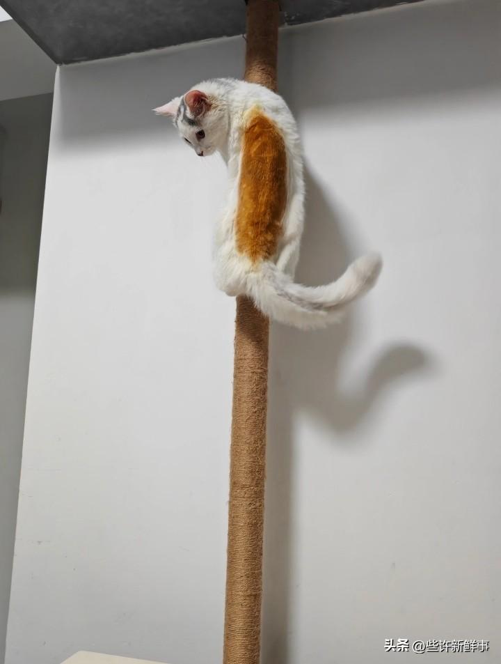 年轻就是好