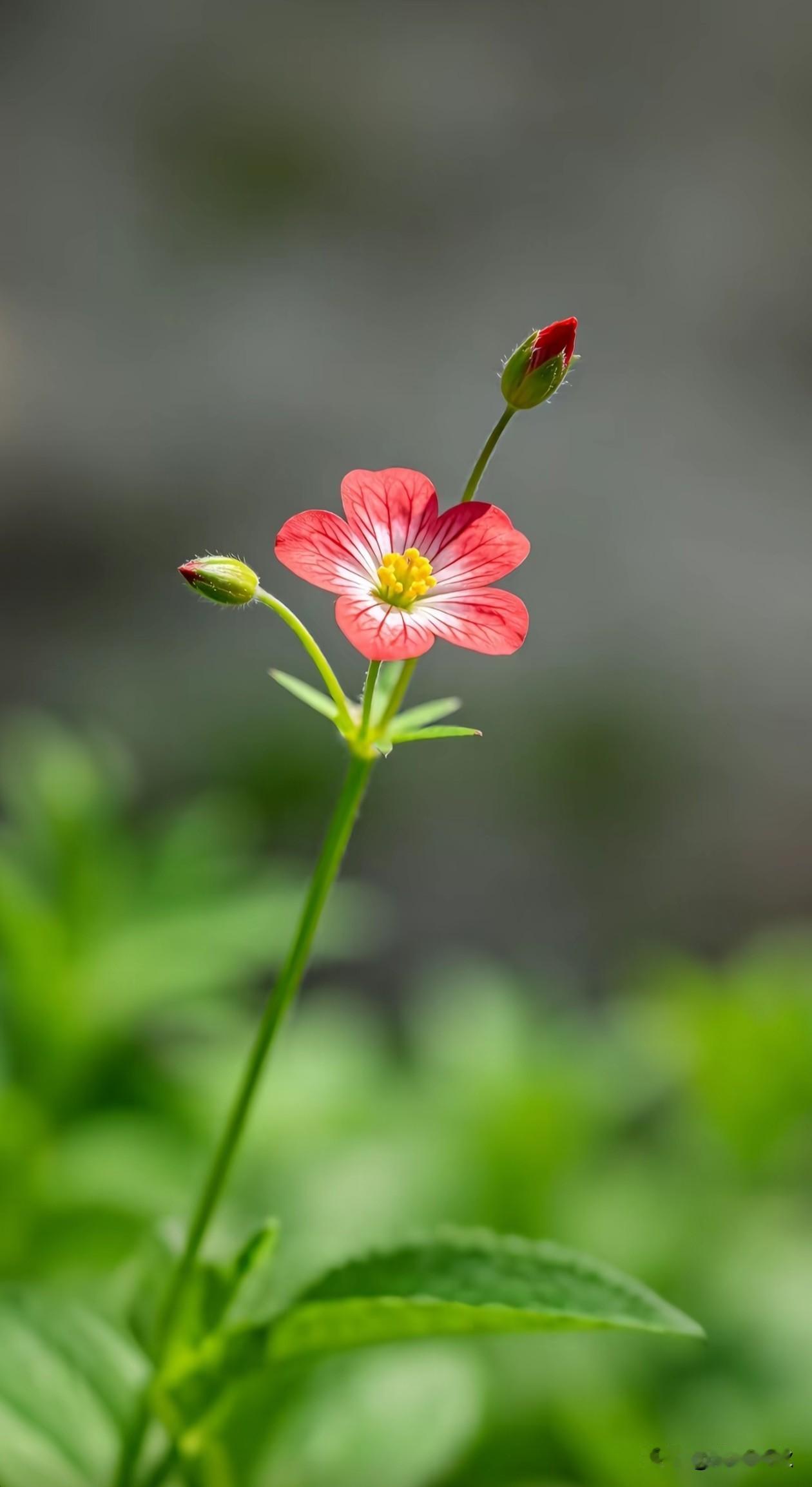 独而不独 是最好的状态