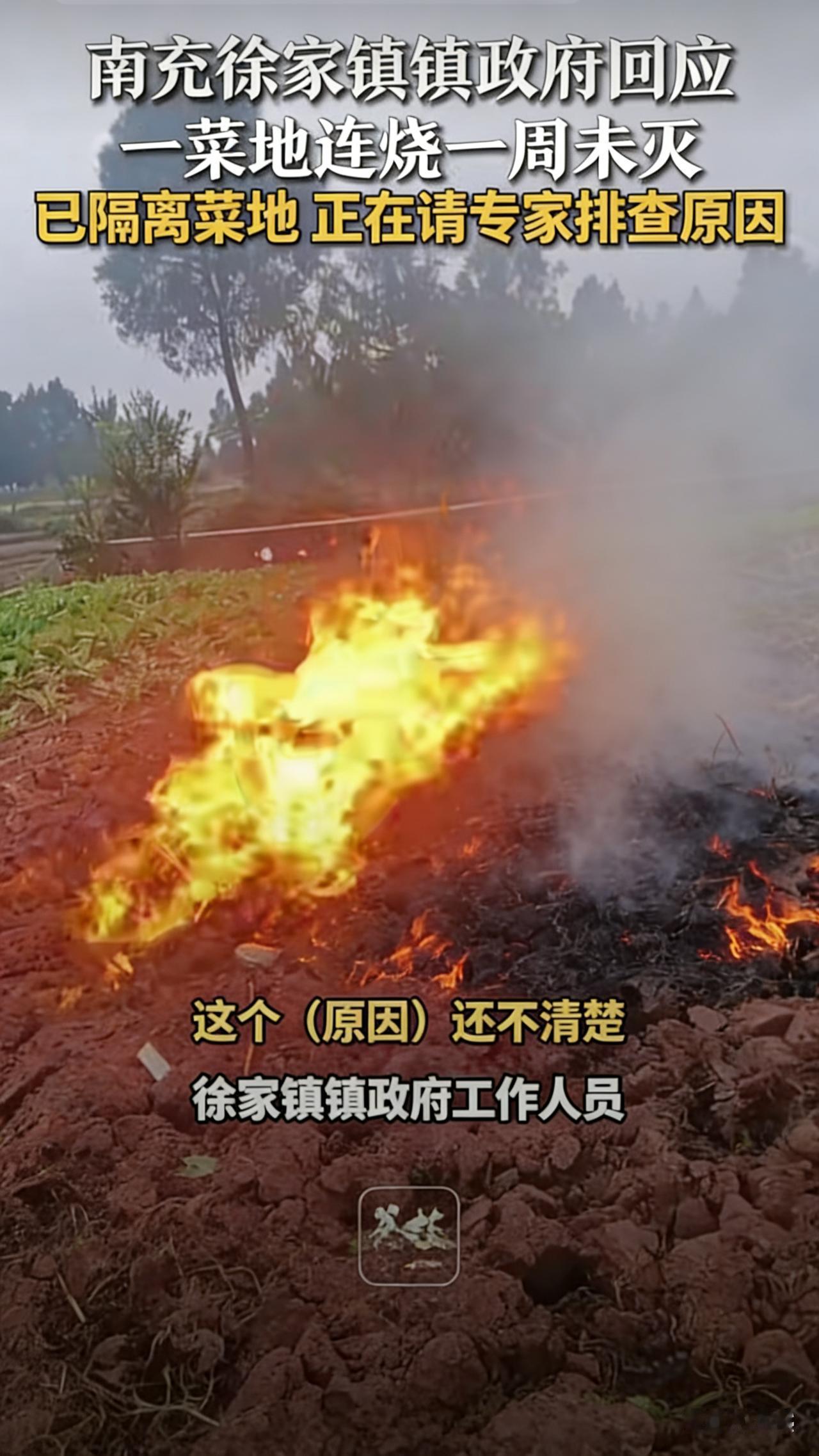 四川南充惊现“地火”：菜地变火山，雨水都浇不灭！

在四川南充的蓬安县徐家镇，有