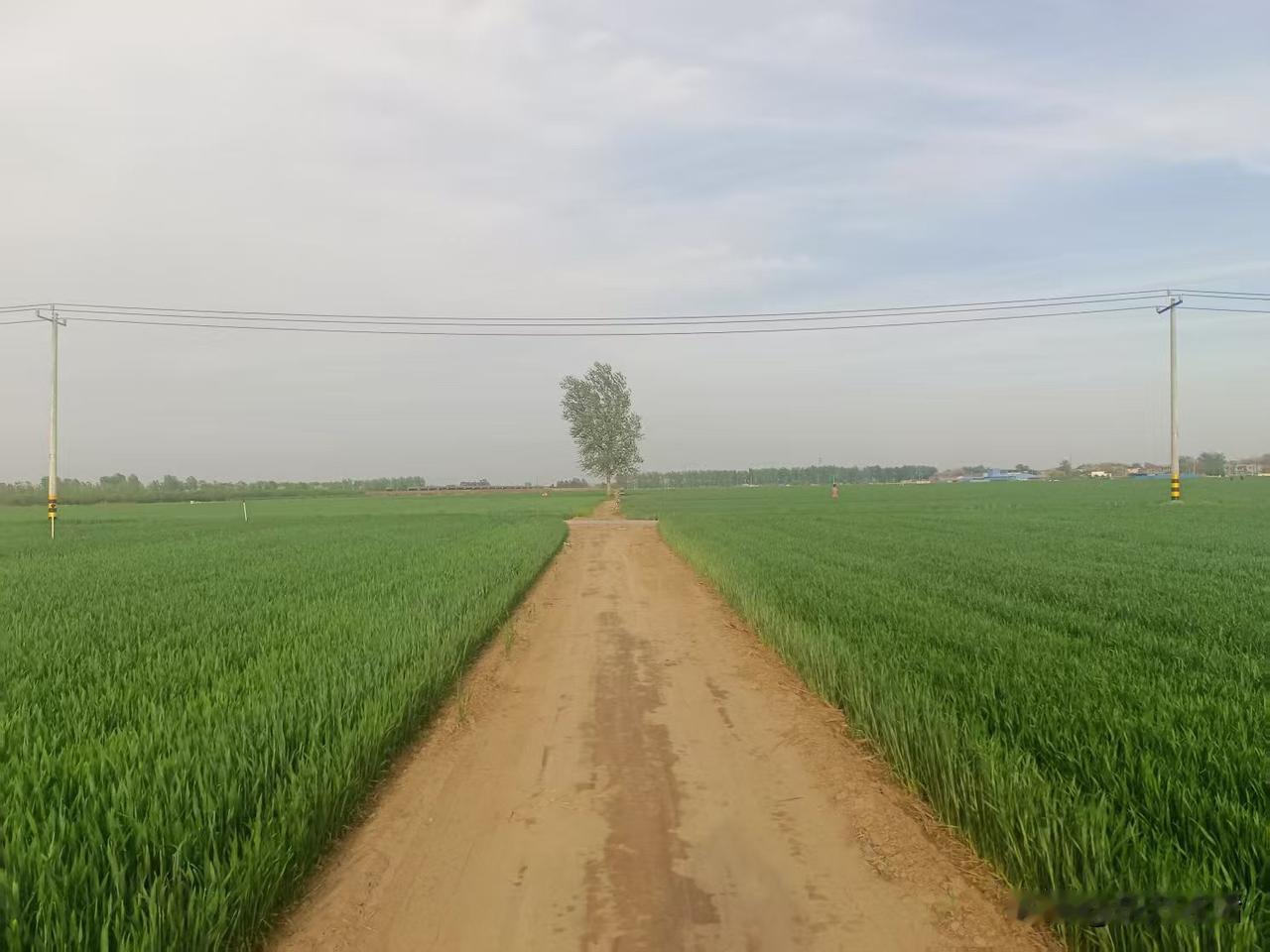 梁东方
土路上一辆三轮车上一个老人在从车斗中的一个大桶里往外舀水，舀到一个可以手