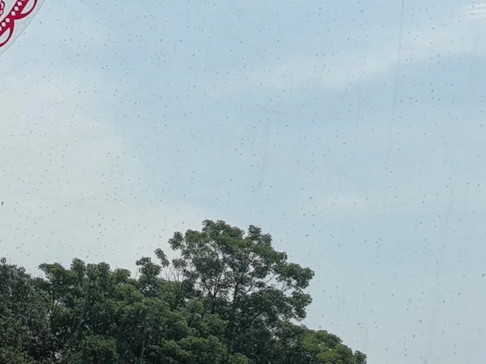 你们那有不一样的天空吗？一个四十岁的女人还会有男人喜欢吗 婚内出轨可以要求对方净