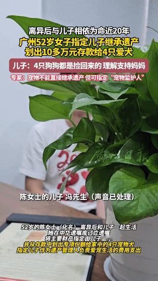 太奇葩！广州，一52岁女子立下遗嘱将自己10几万元的财产留给了4只爱犬。网友：“