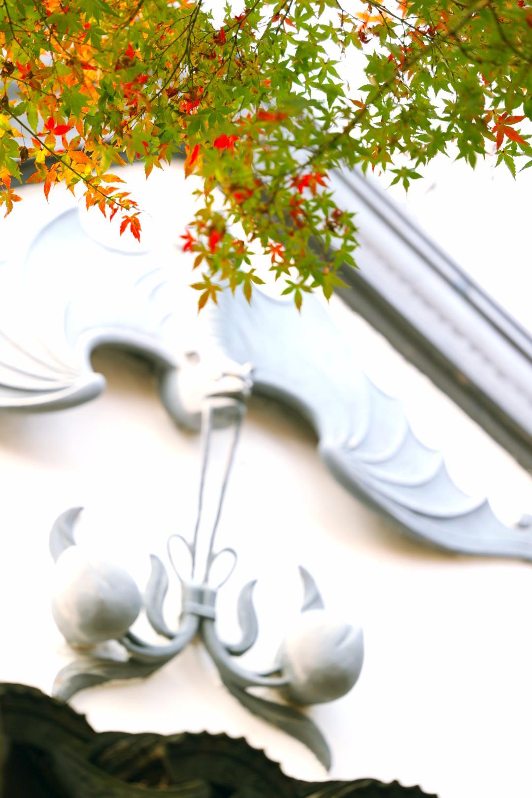 有家长问：“你们这边真有特别厉害的老师吗？”我跟您说，我们这儿有位老师已经带出了