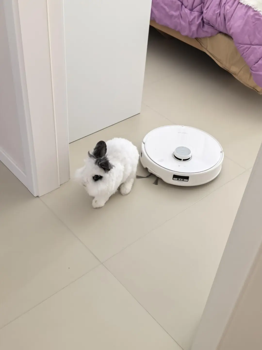 小老头为这个家操碎了心