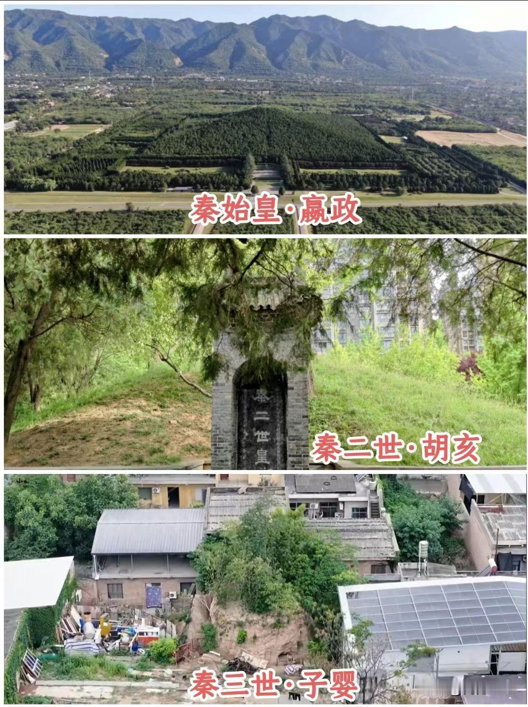 许多人都觉得自己子女不如自己，
​高估你自己了，真把自己当人物了，
​你的本事没