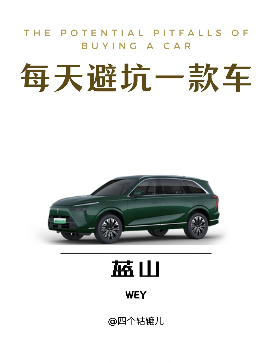 看完还买魏派蓝山吗？