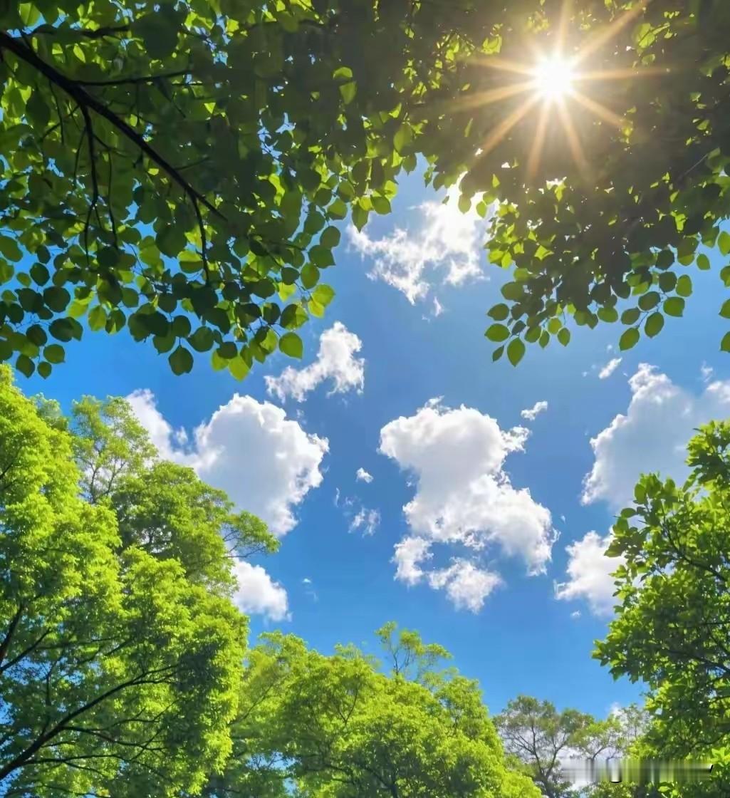 太难了！
赚钱难，炒股赚钱更难！
这个月已经亏的很惨了！这周勉强看行情还可以。但