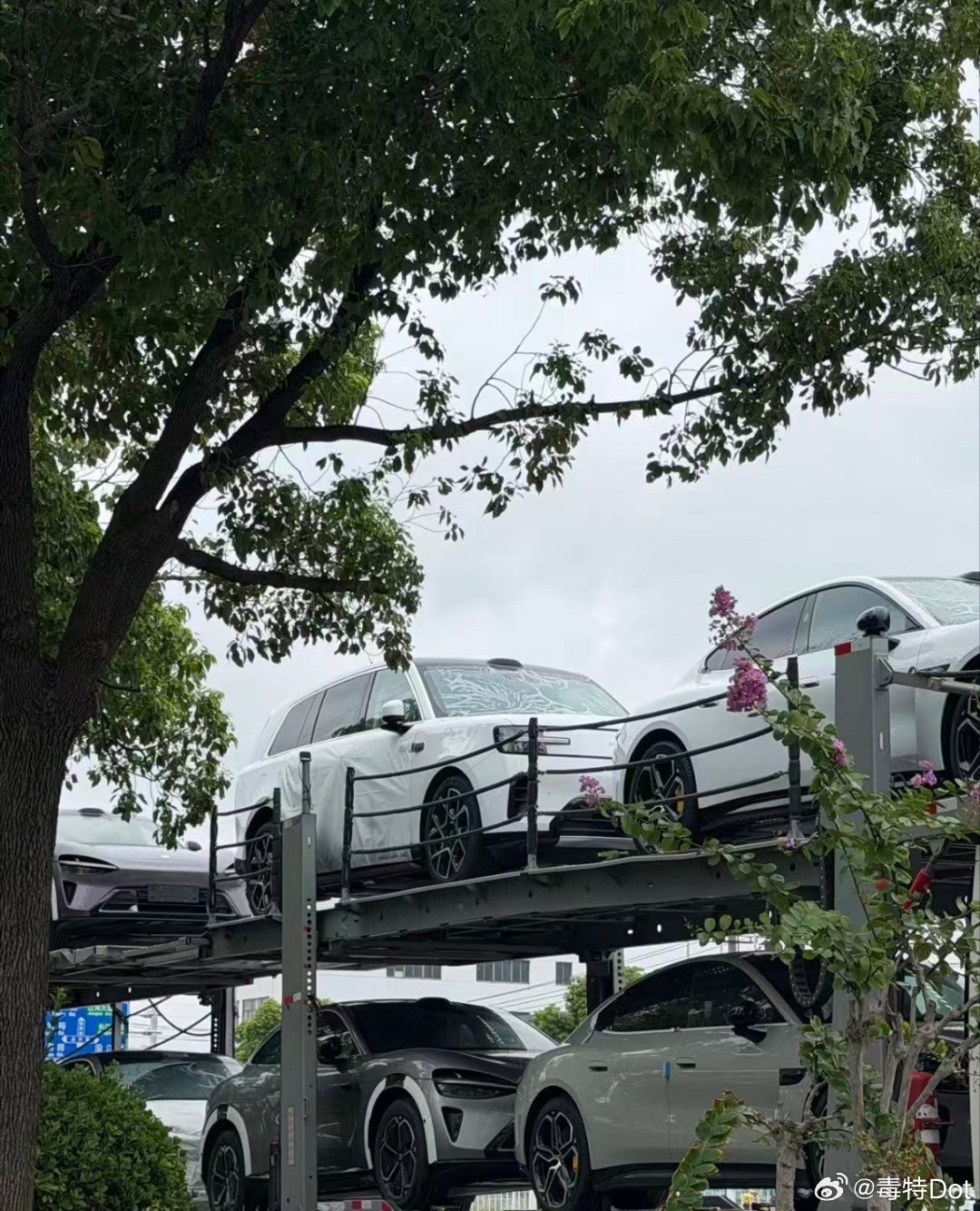 澎程已经开始大规模的向各地门店铺设展车了，看样子上市进度越来越快了skynoma