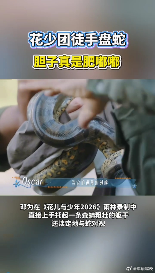 花少团徒手盘蛇胆子真是肥嘟嘟 盘蛇这段没有刻意制造剧本冲突，成员的情绪都是自然流
