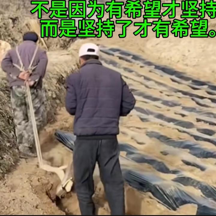 今天学到的金句不是因为有希望才坚持，而是坚持了才有希望。