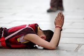 昨天完全是给兄弟们当了一天得明灯对不住了老k在此给兄弟们磕个头吧！ 