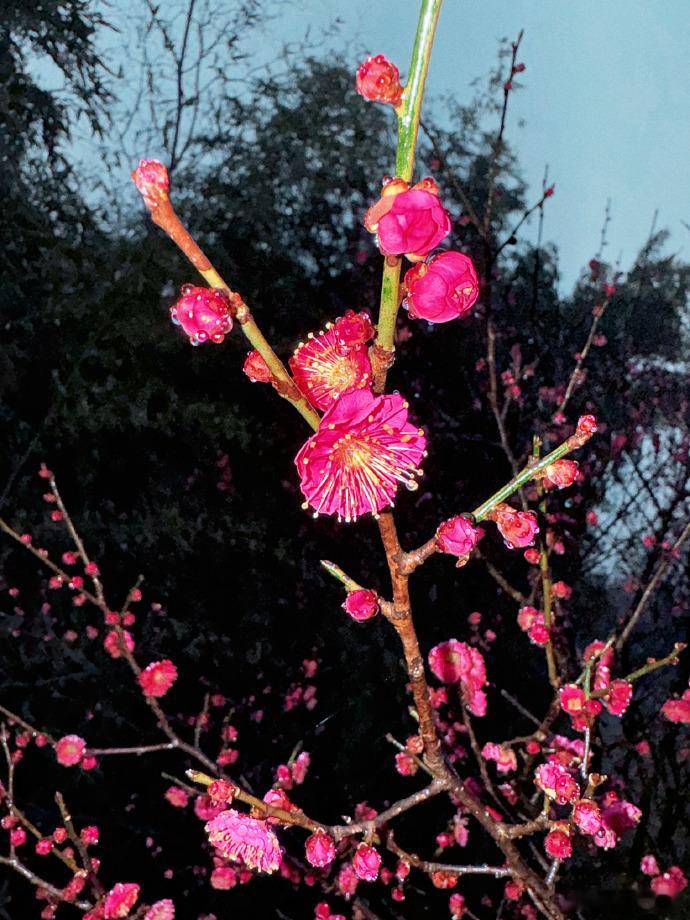 赵小童忙里偷闲走马观花一下  被赵小童忙里偷闲的plog所打动，走马观花的记录充