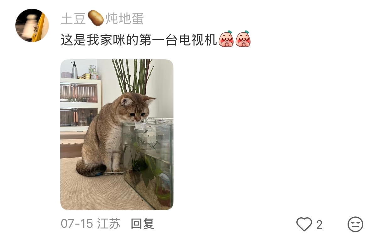 咪的第一台电视机 