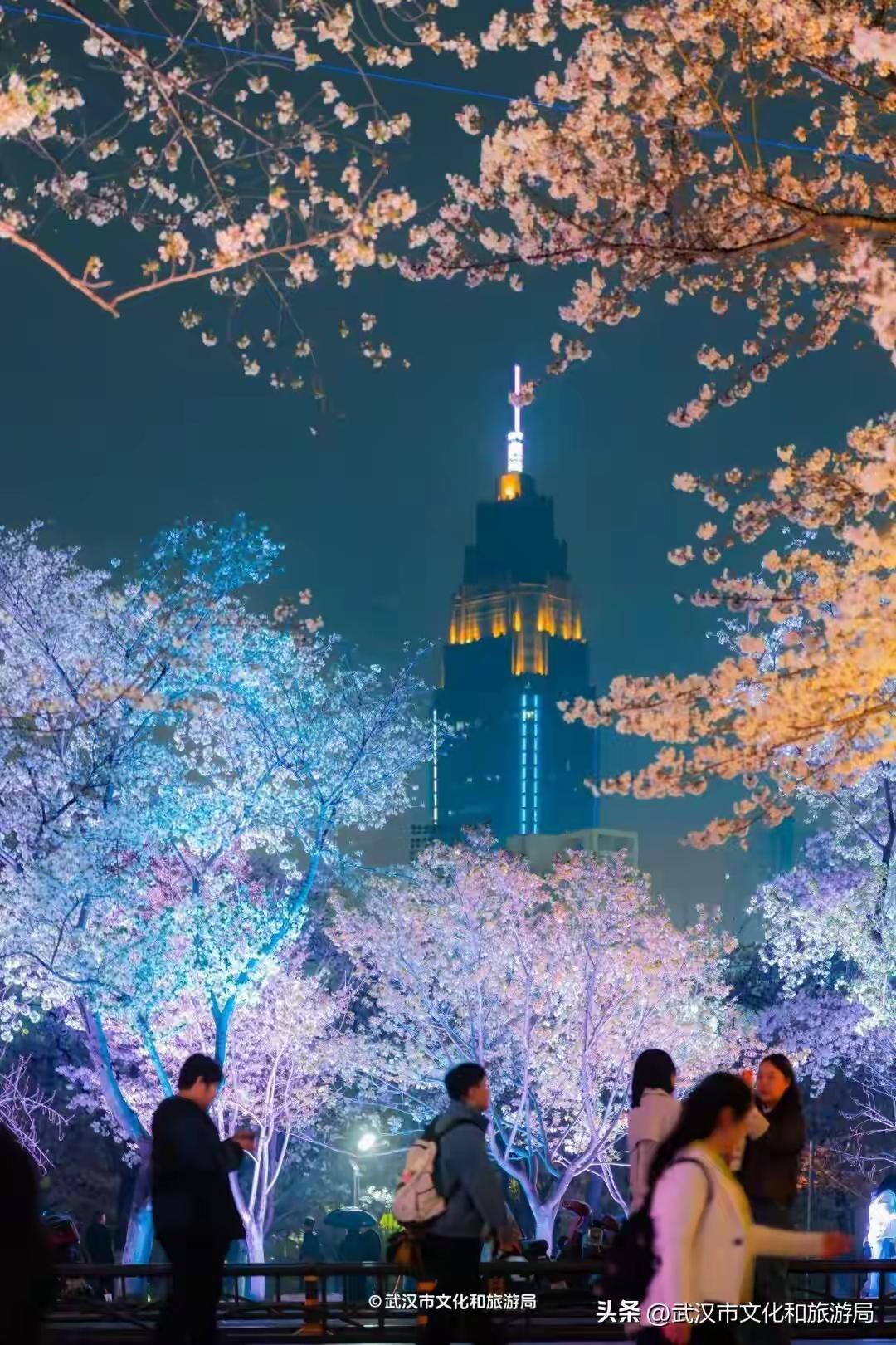 晚上刚拍的[灵光一闪]