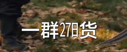 271你告诉我，这泥马是啥字 