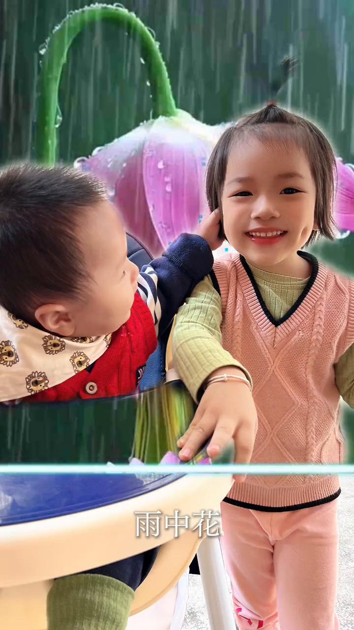 雨中花。
