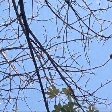 每日一善 善，是生活中的点滴温暖。每日一善，也许只是给辛勤的快递小哥递上一杯水，