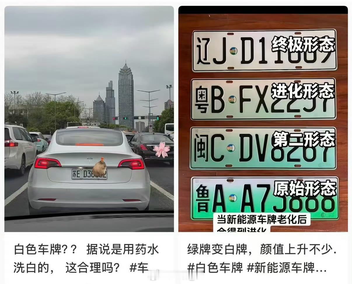 新能源绿牌被人为褪色成白牌，还敢说只是 “审美升级”？交管部门：属污损机动车号牌