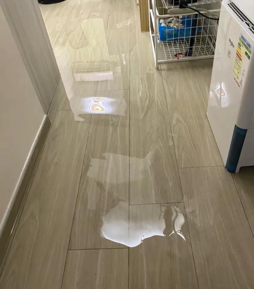 留子非经典开局
天天刷到各位留子开局，没想到乐子轮到我身上了。半夜和漂亮姐姐聊天
