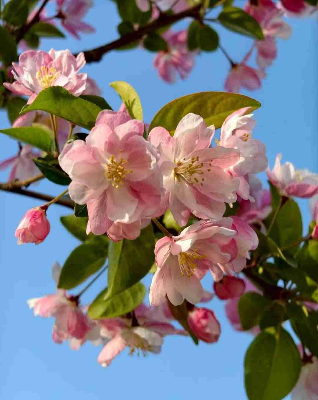 我的今日状态：😁轻松愉快
我这里的天气：🍂微风
