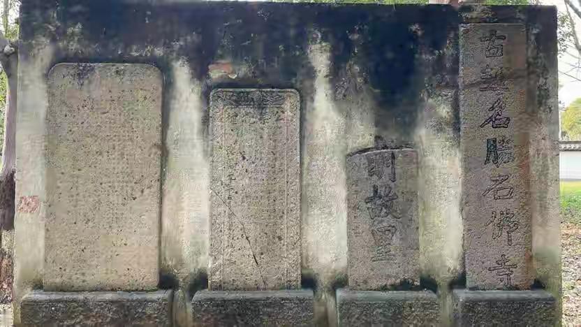 陶里是羊山公园吗？陶里