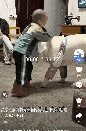 你说这狗子成精了？湖北一小孩在家和狗狗“对打”，结果反被狗狗用一招“爱的抱抱”摔