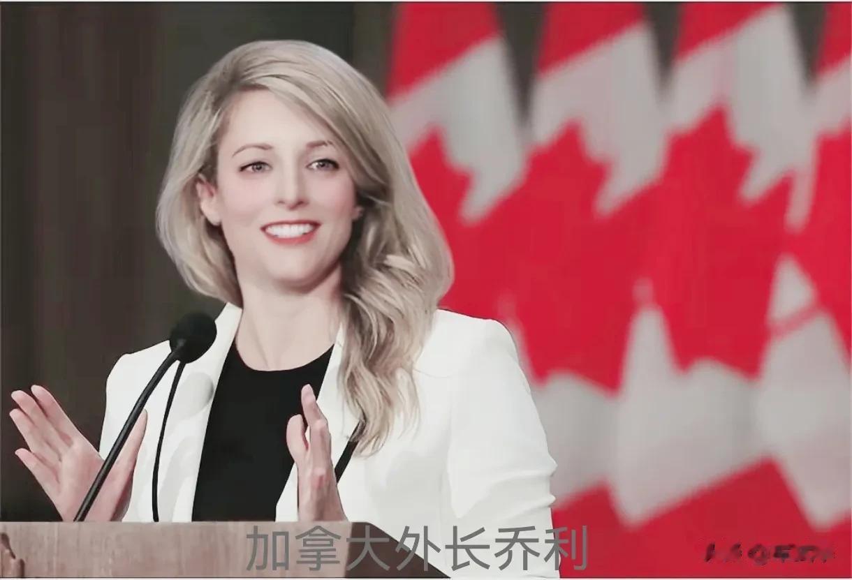 消息人士透露，为报复中国反制加方无理行为，宣布其驻上海领事为“不受欢迎的人”，加