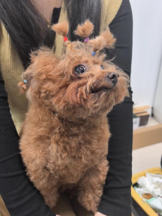 咋的？！不好看吗？