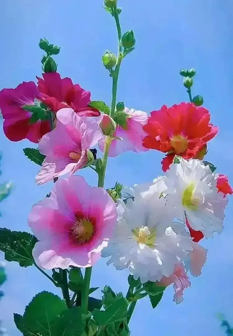 我安慰自己，或许火候还没到，或许文字还不够有力量。我会继续深耕自己的创作领域，不