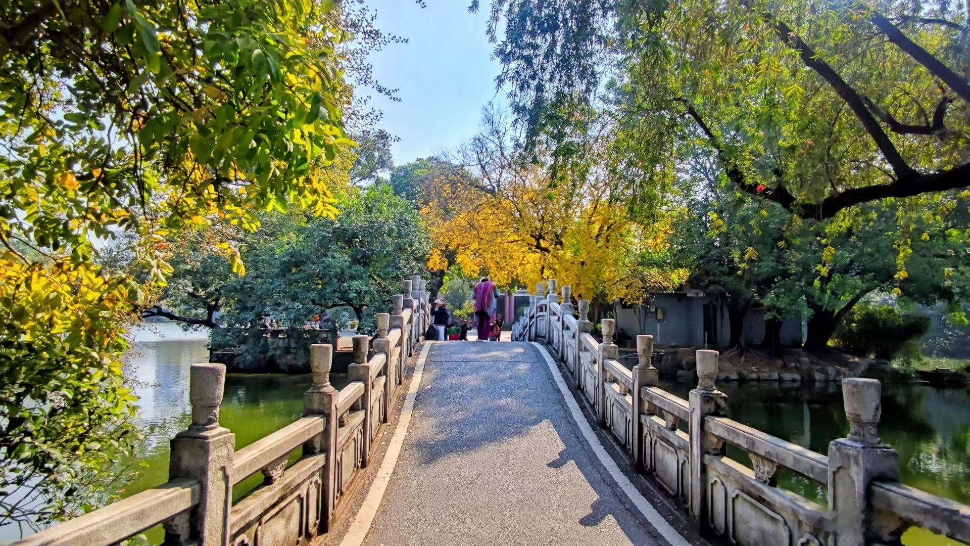 桥横湖水静，树茂鸟啼欢。人乐花相伴，风轻舟自安。 