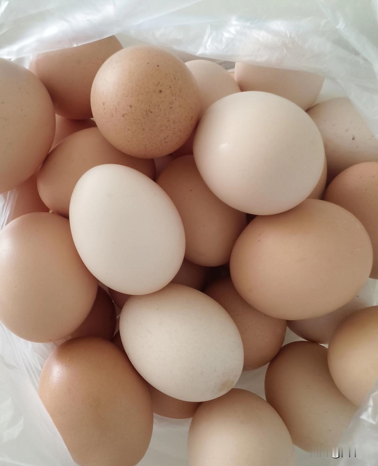 土鸡蛋已经说了多次，今天又给我推送这个话题，那就再说几句。
首先，所谓土鸡蛋，是