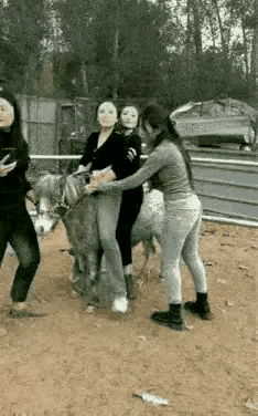 这几个小姐姐，有点过分，
不考虑驴的感受吗？