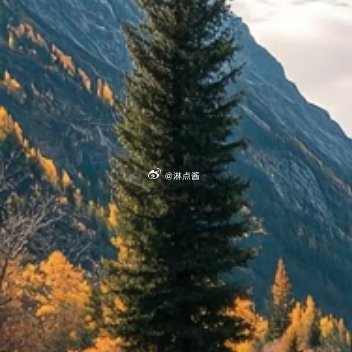 每日一善 [月亮]阳光信用 以热爱祖国为荣，以危害祖国为耻 以服务人民为荣，以背