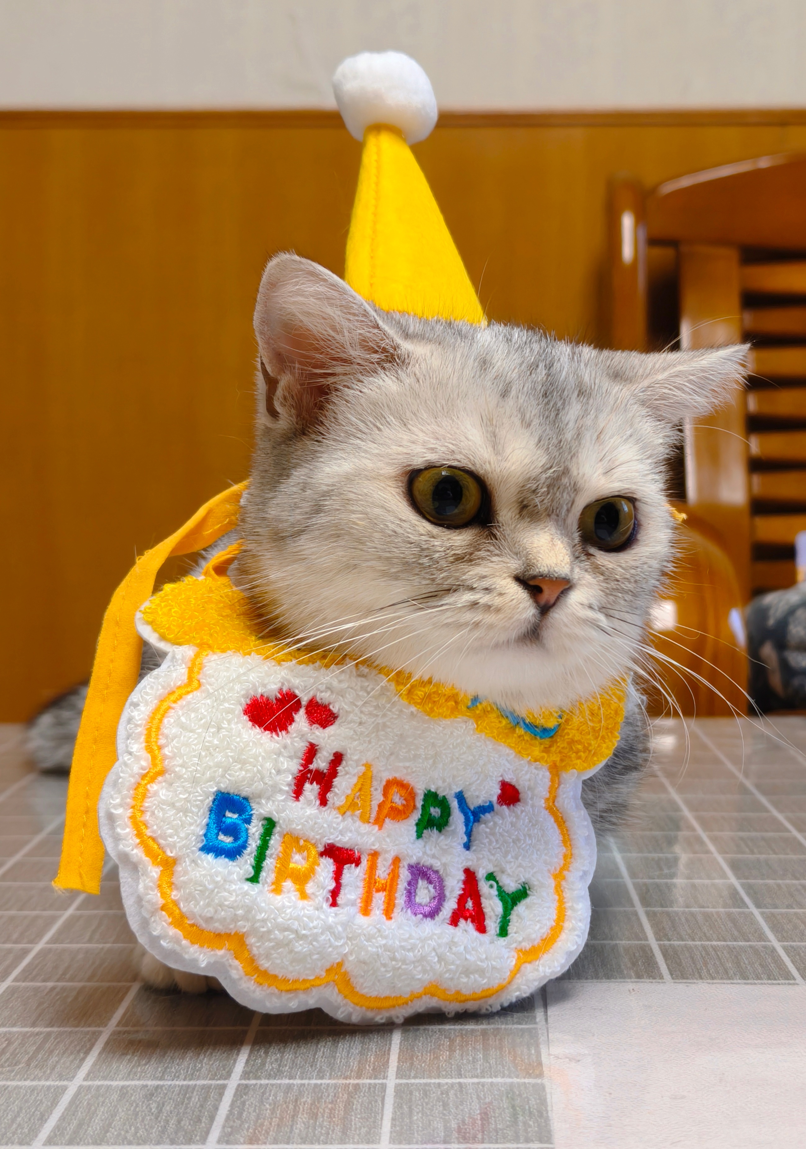 今天我们家的冰冰妞3岁了，祝我的小宝贝生日快乐，要继续健康、快乐、幸福下去[蛋糕