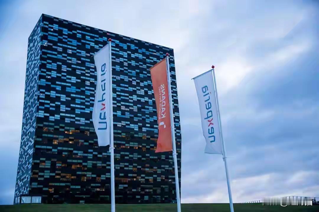 这是中荷半导体博弈后的阶段性缓和！荷兰政府的表态，本质是认可中国产能的不可替代性