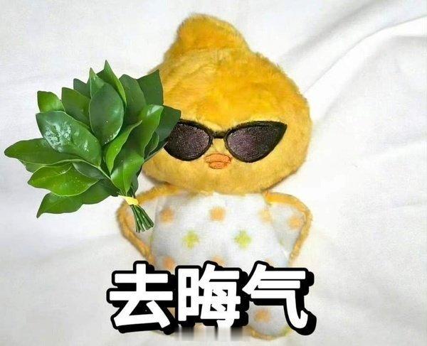 是不是我应该别换头像，可是柚子叶还在啊，本来举着的，现在是一手拿话筒一手拿着柚子