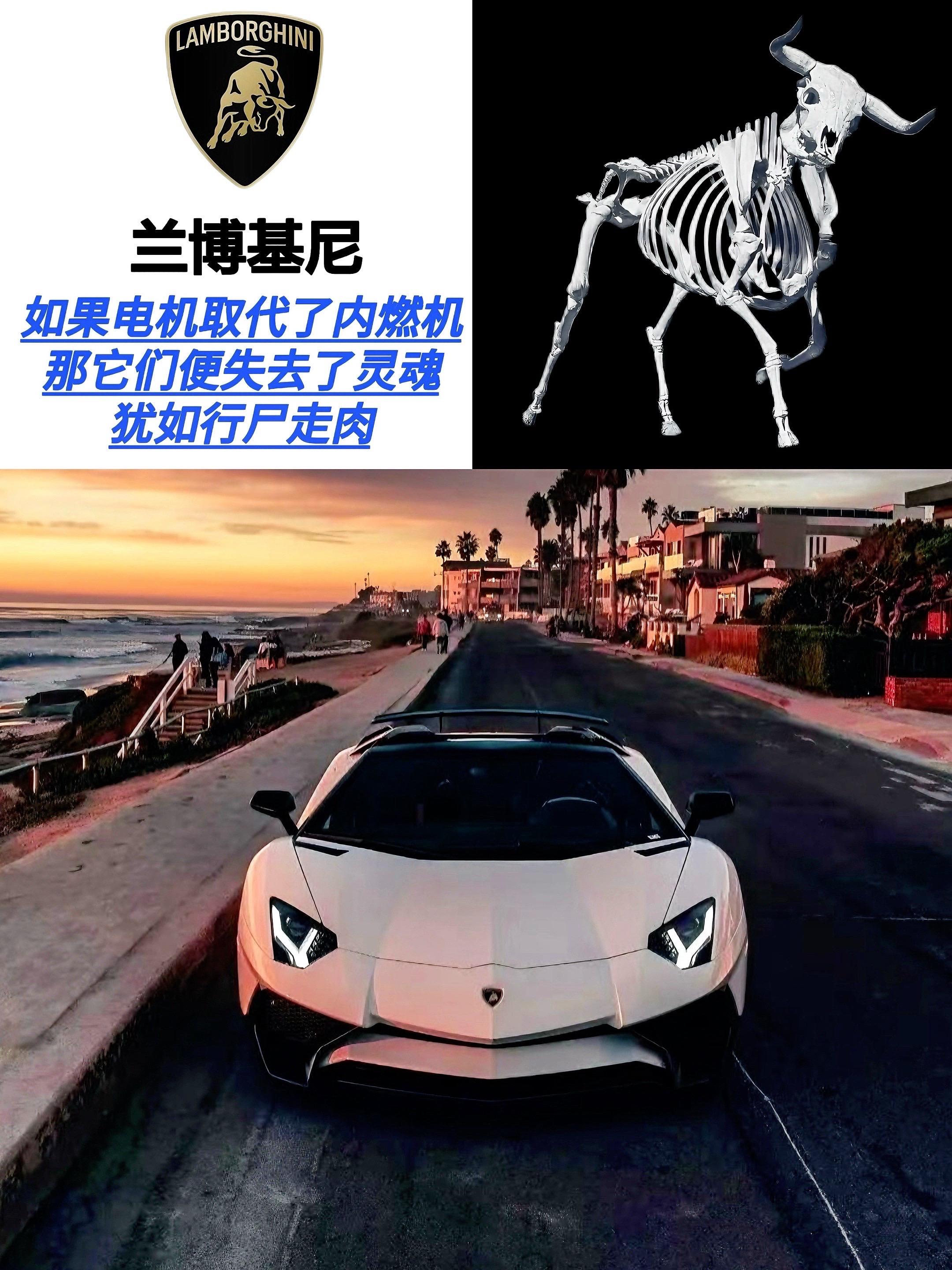 如果电机取代了内燃机，那么就等于失去了灵魂。
