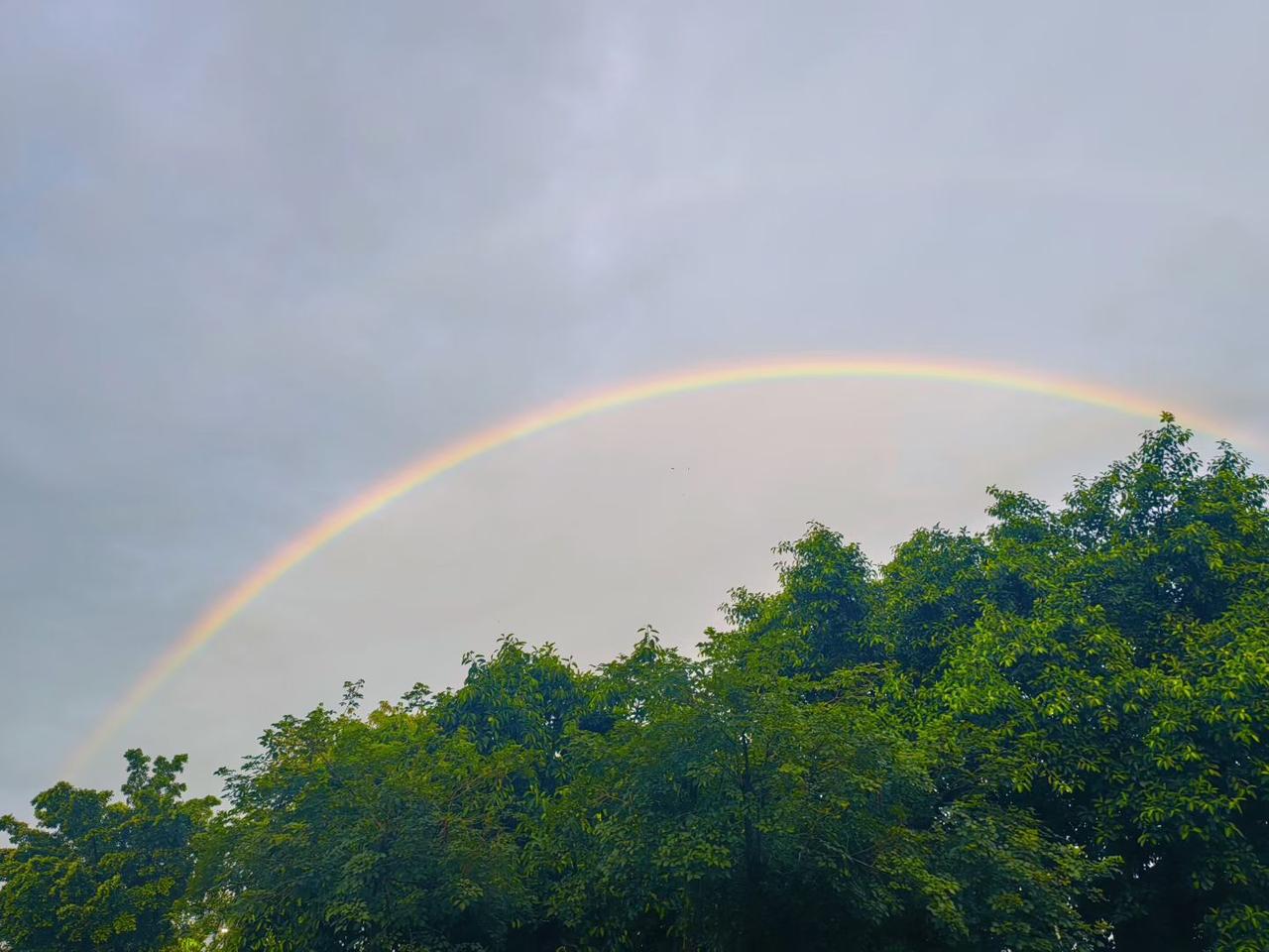 一场落雨落幕，
彩虹如约现身。
往后诸事顺遂，
生活总有不期而遇的惊喜🌈