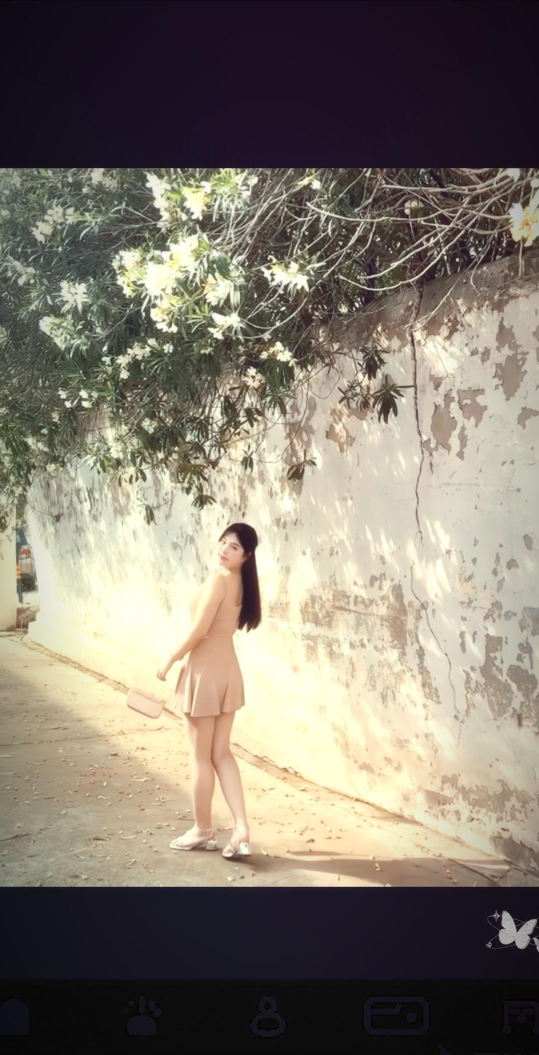 在你的梦里～