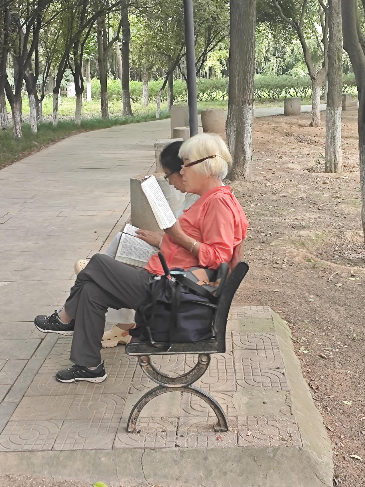 读《圣经》的女人

早上在公园里慢跑，跑到东南角的时候，看见路旁的椅子上坐着两位